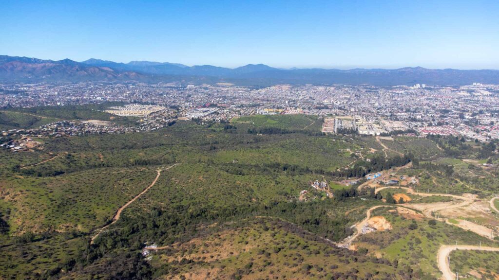 DJI_0405