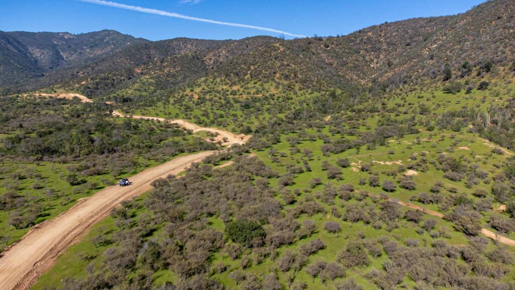 DJI_0443