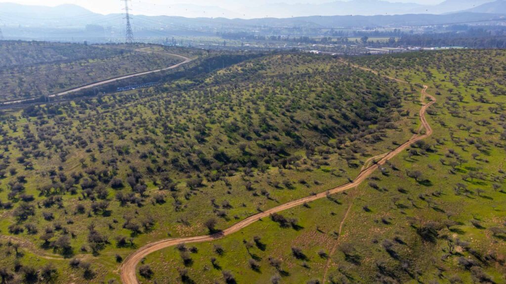 DJI_0562