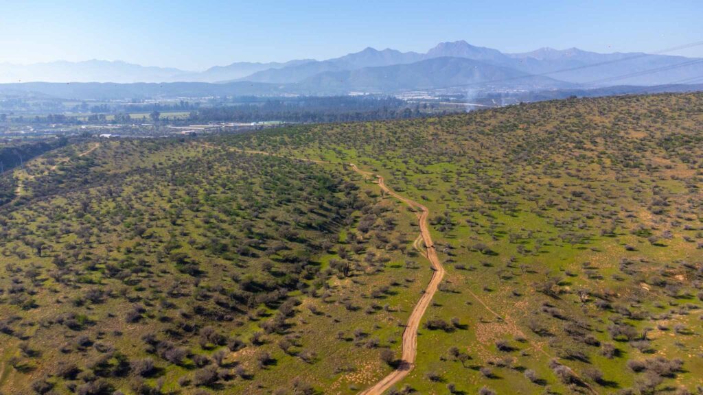 DJI_0568