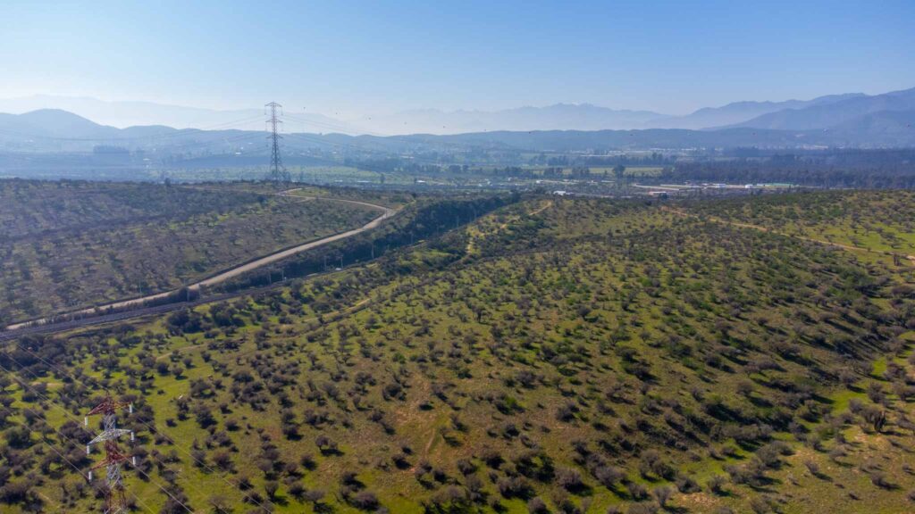 DJI_0570