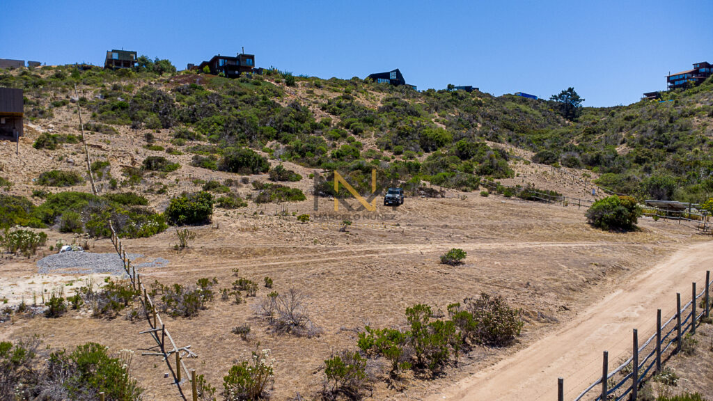 DJI_0313
