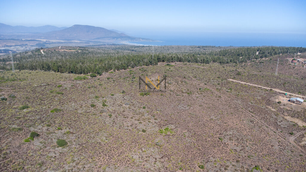 DJI_0834