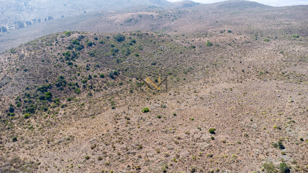 DJI_0835