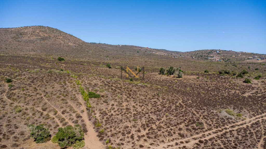 DJI_0842