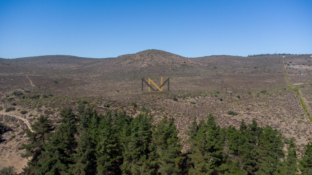 DJI_0866
