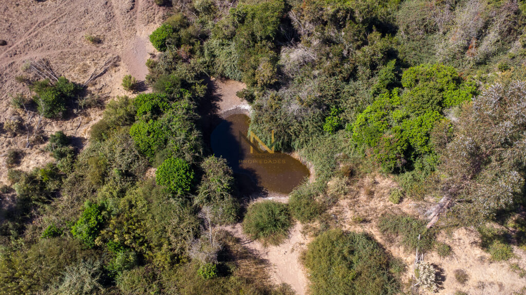 DJI_0878